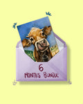 Sciannæ Mail Club – 6-Monats-Paket