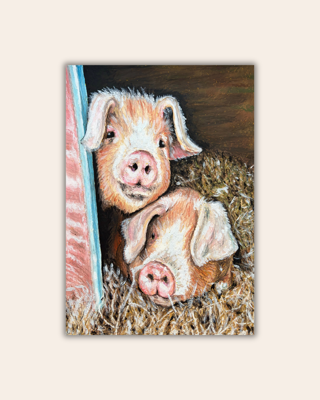 Catch-up August - Pino and Gino the Pigs