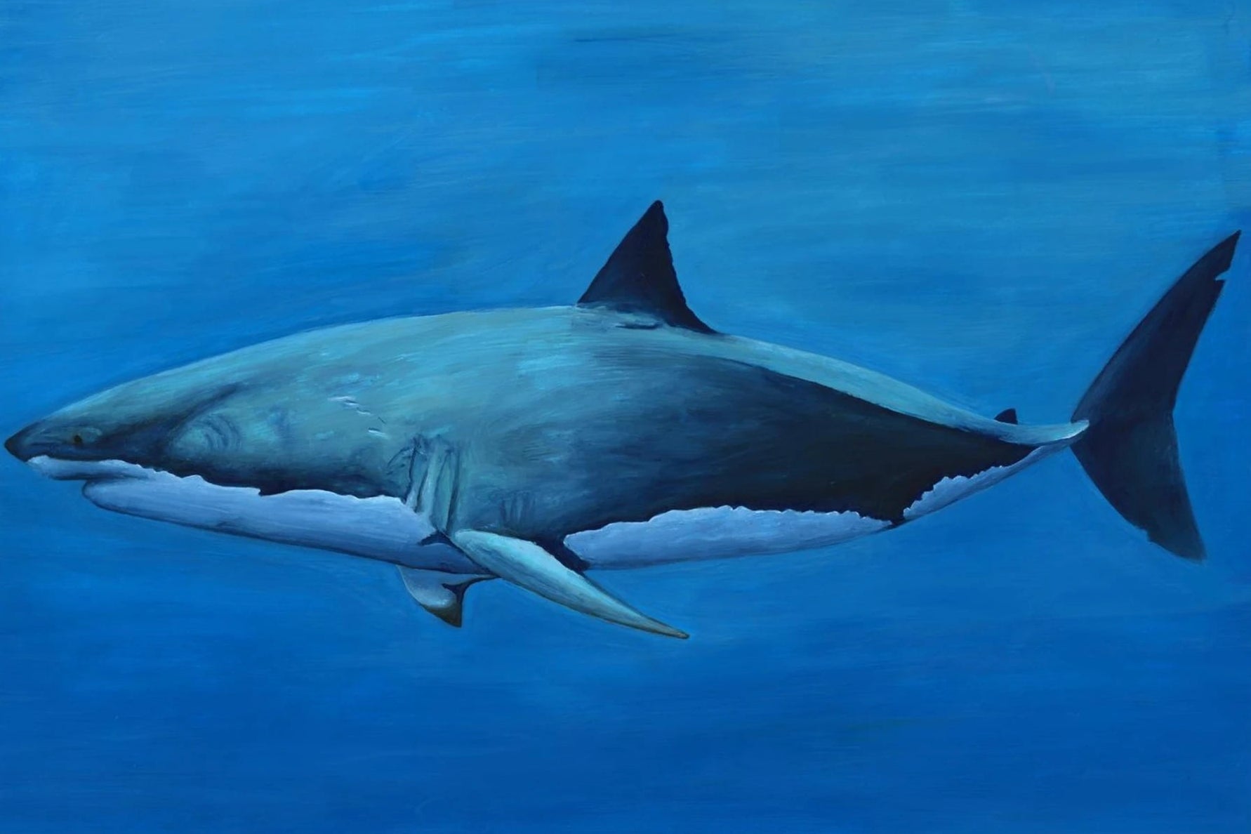 Art Poster of a white shark in the deep ocean